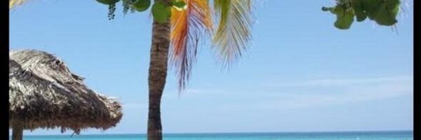 nwebs Profile Banner