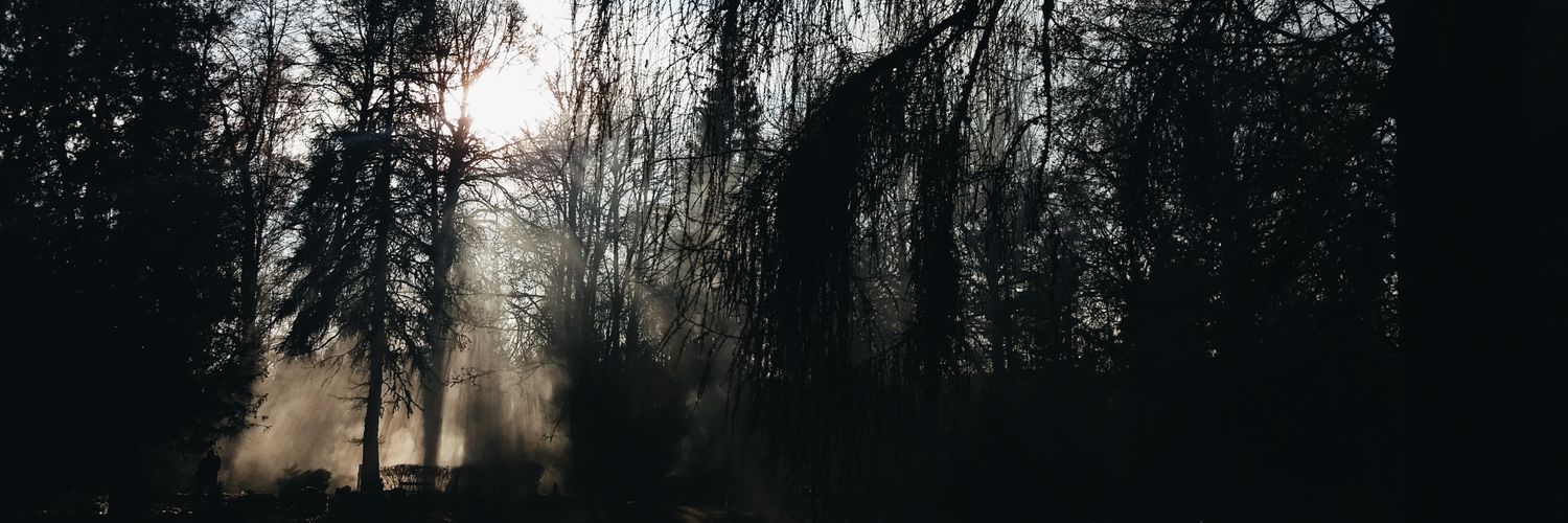 Zuzzzeee's profile banner image