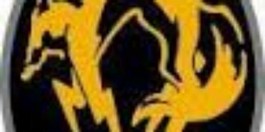 Malicia_Fox's profile banner image