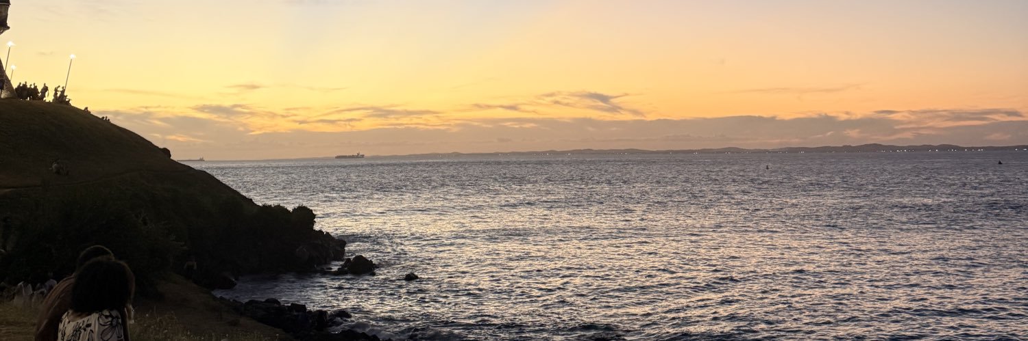 flafaleiros's profile banner image