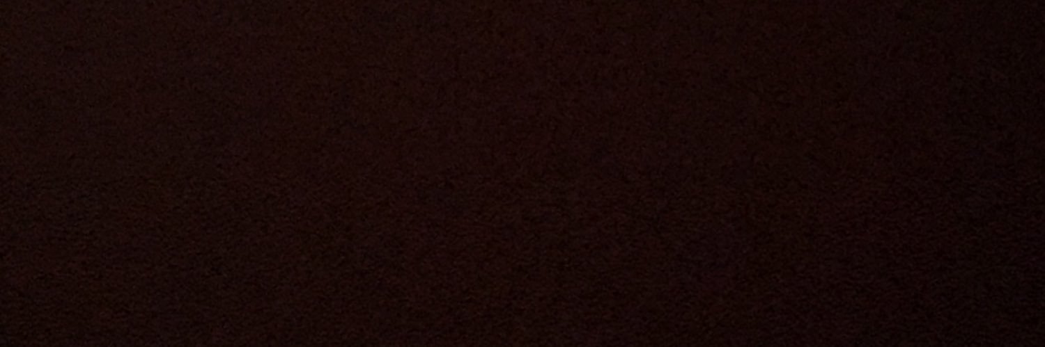 fastvampire's profile banner image