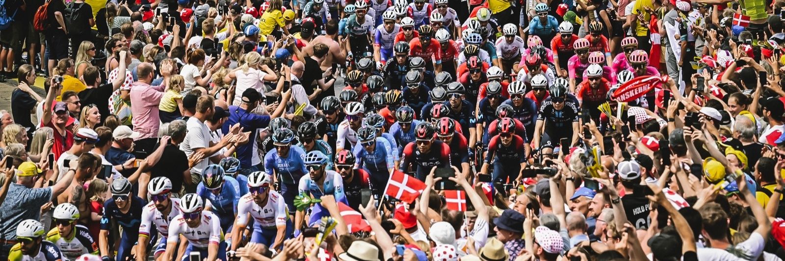 César Cortés banner