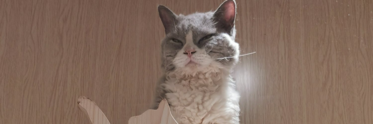 andybread's profile banner image