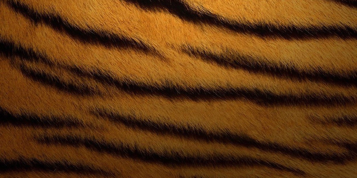 Tigrinoks's profile banner image