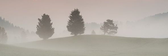 leniababy's profile banner image
