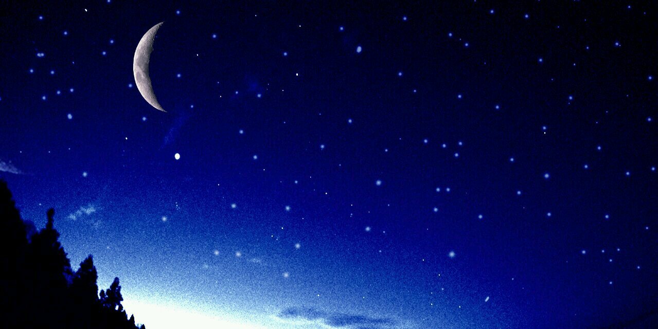 toarusyojo's profile banner image