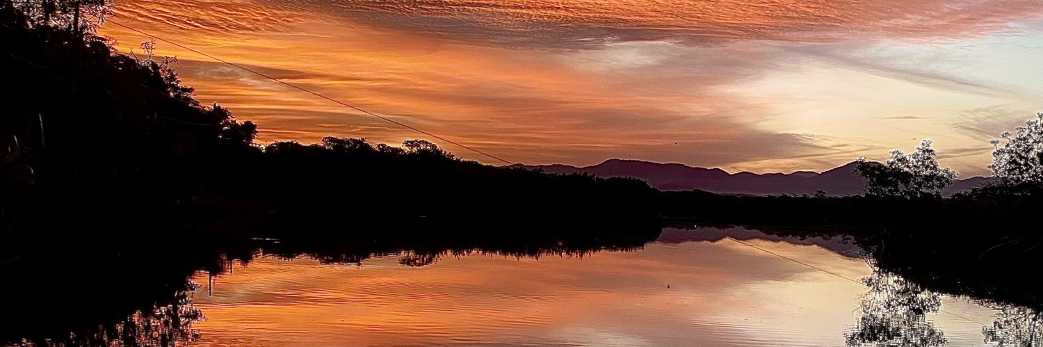 Wellington93s's profile banner image