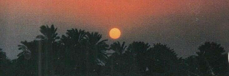 mareesa allyse banner