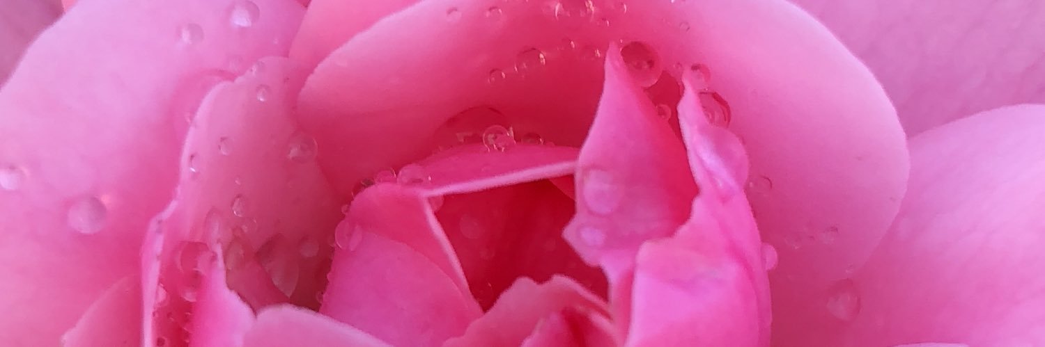 FemkeGZ's profile banner image