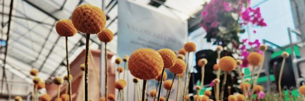 StarckTii Profile Banner