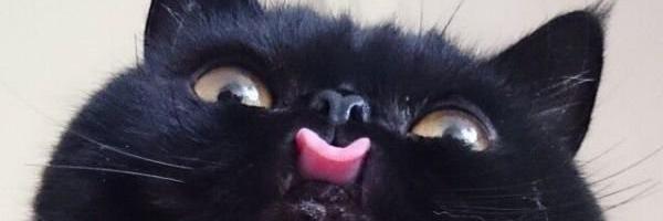 BlickFanger's profile banner image