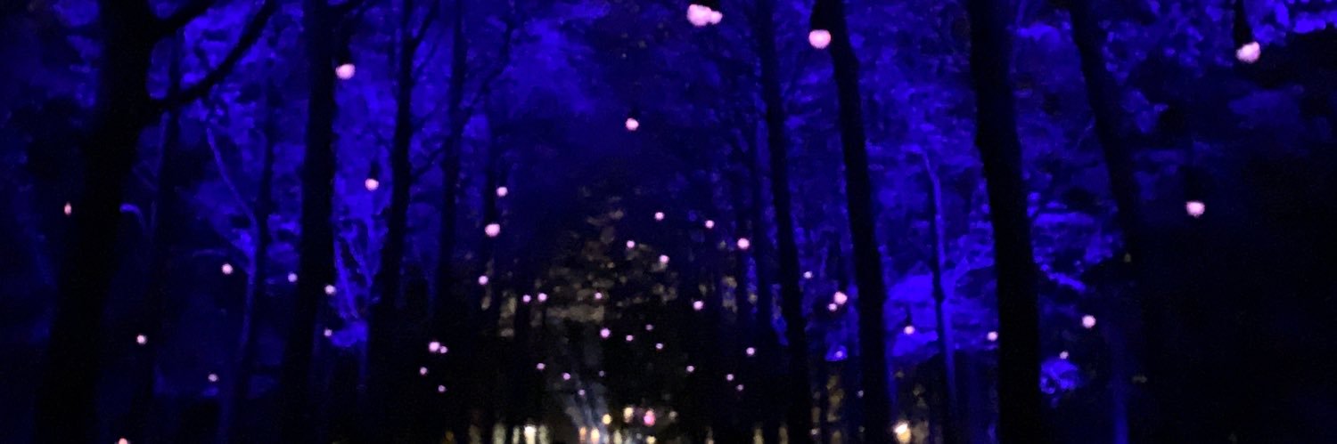 juliegedopt's profile banner image