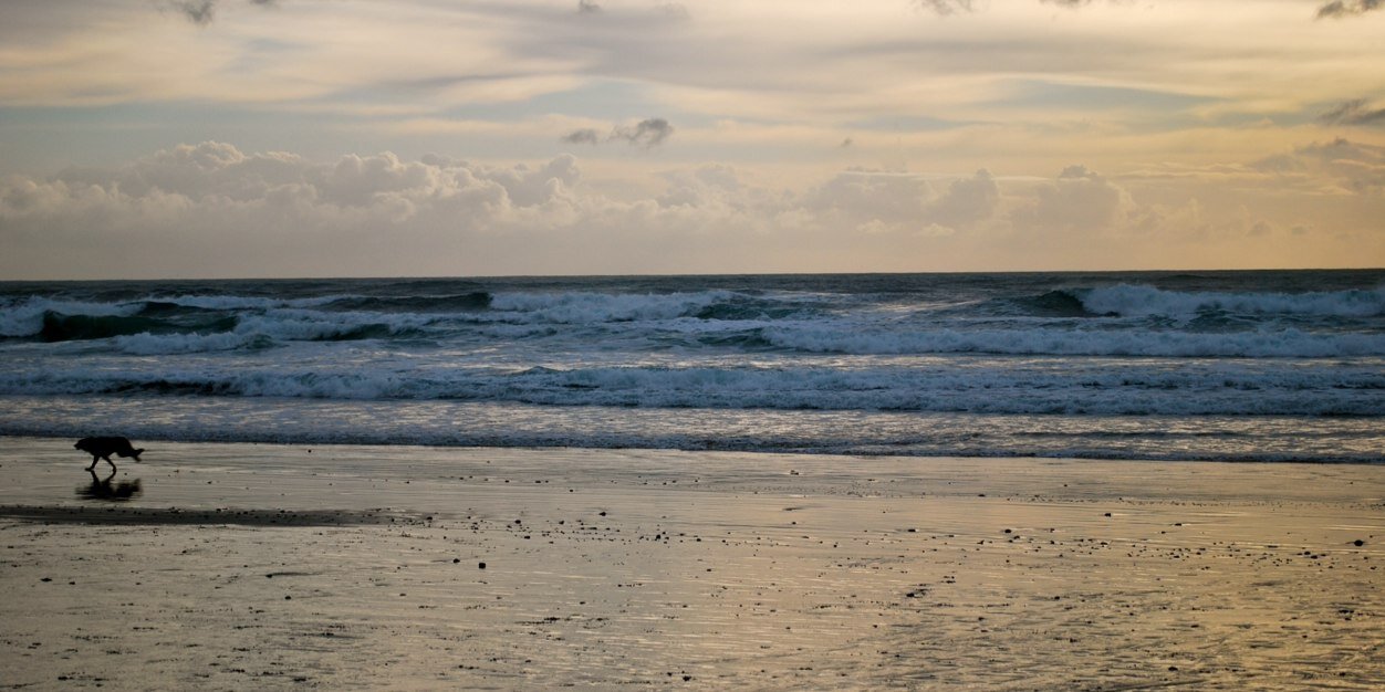 Matthew Eldon banner