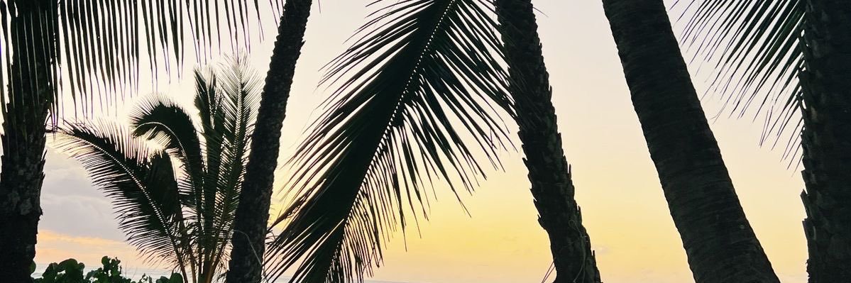 1takejade's profile banner image