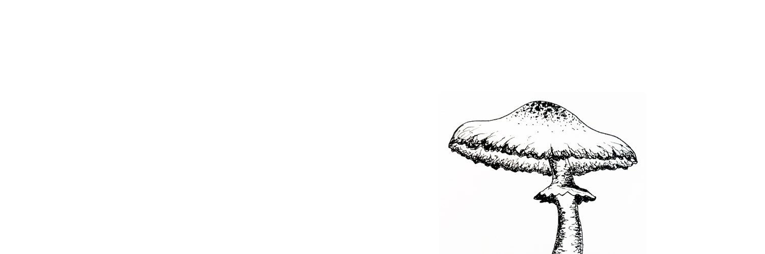 callmegarch's profile banner image