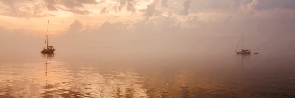 Nico Probst banner