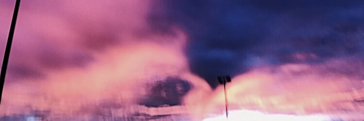 Leynzonmichelle's profile banner image