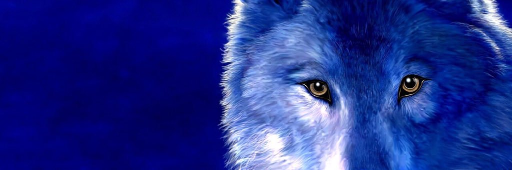 JacquesElise's profile banner image