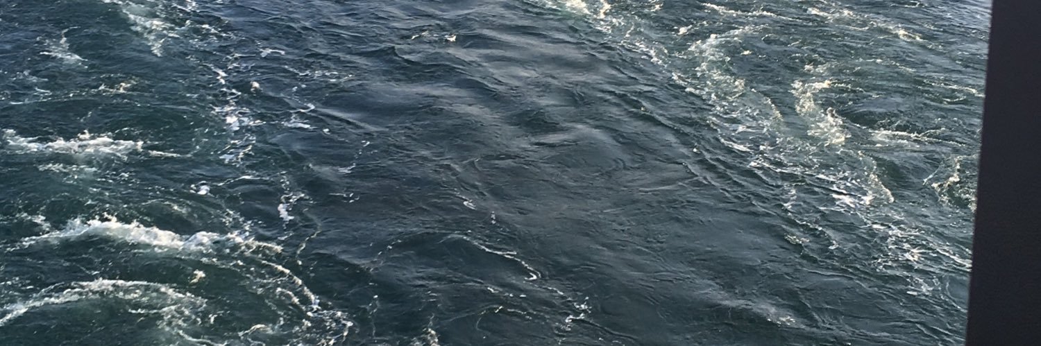 KathrynCarson's profile banner image