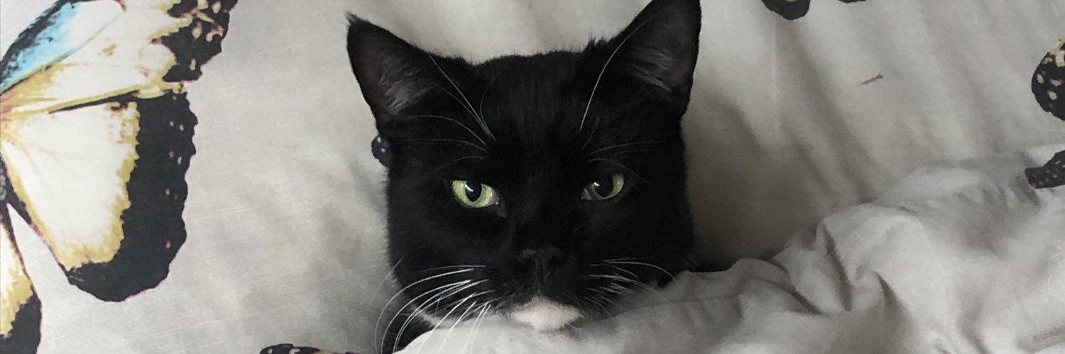 katecotterell's profile banner image