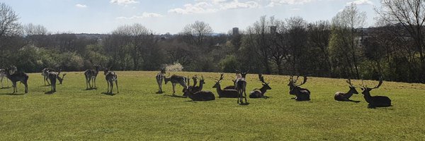 nicolorus Profile Banner