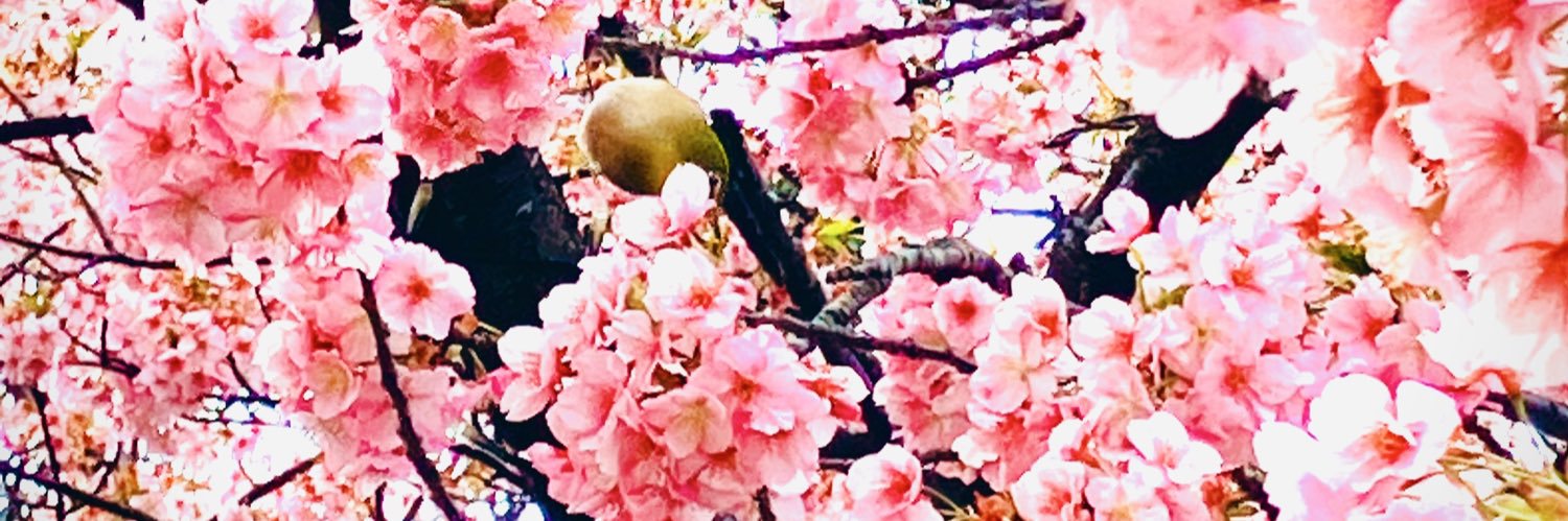 はぎおし banner
