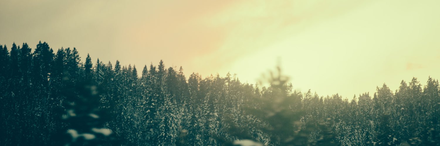 WhiteWolfYoga's profile banner image
