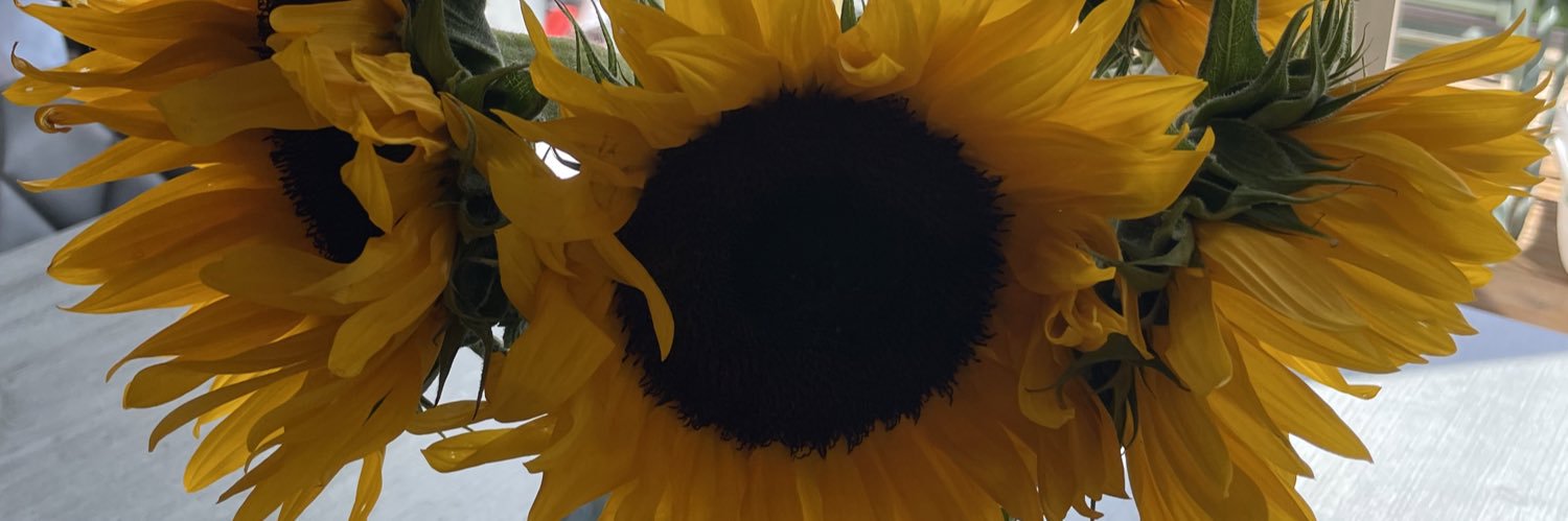 MrsAshurstMaths's profile banner image