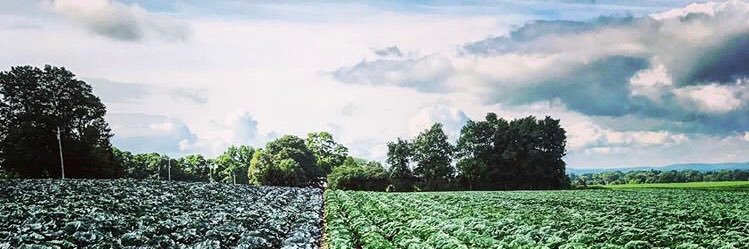 shawn_beam's profile banner image
