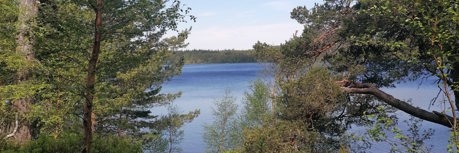 Claire Rae (she/her) banner