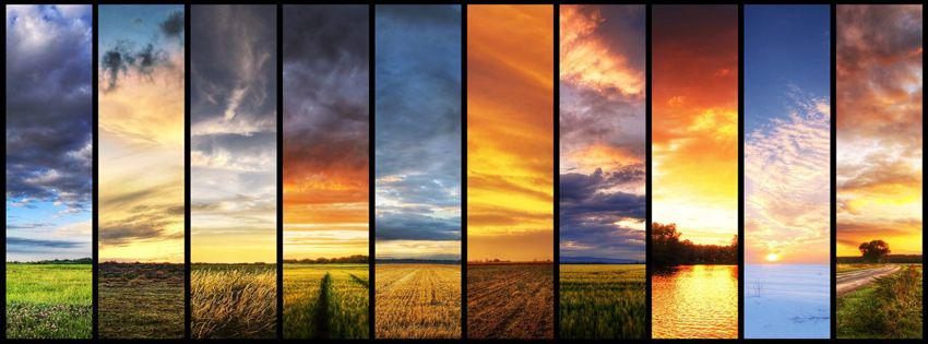 laurafortner3's profile banner image
