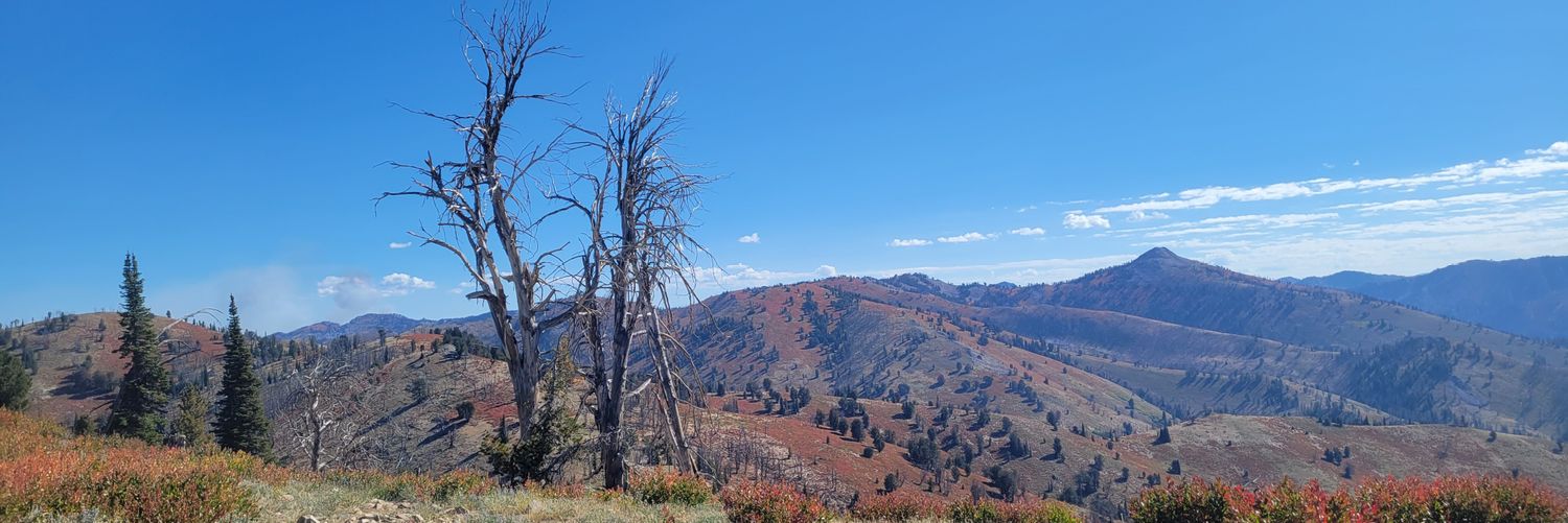 Fred Pinner 🏴‍☠️ banner