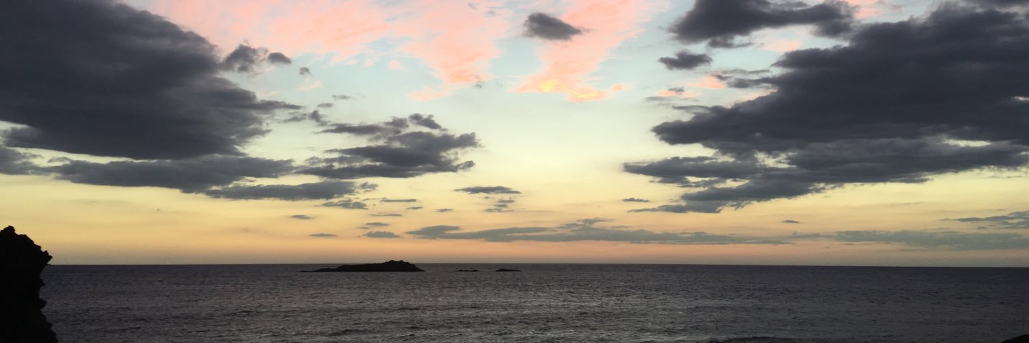 maurovime's profile banner image