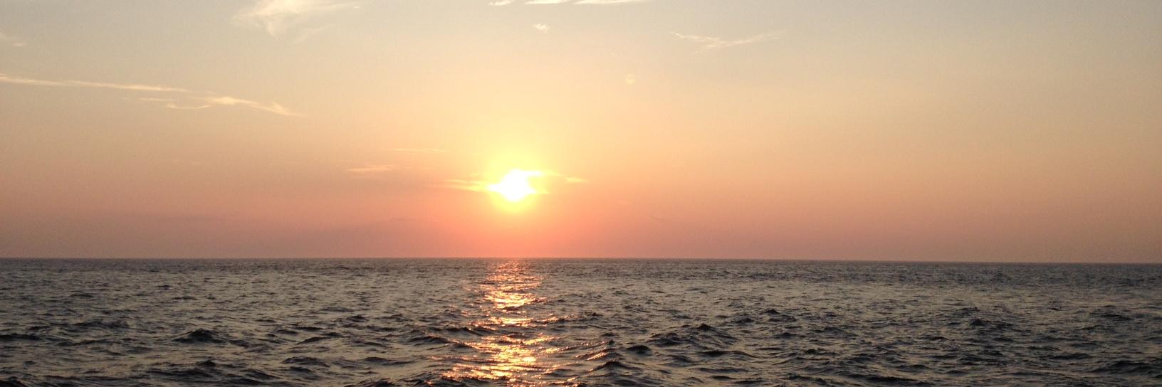 mariemorelli's profile banner image