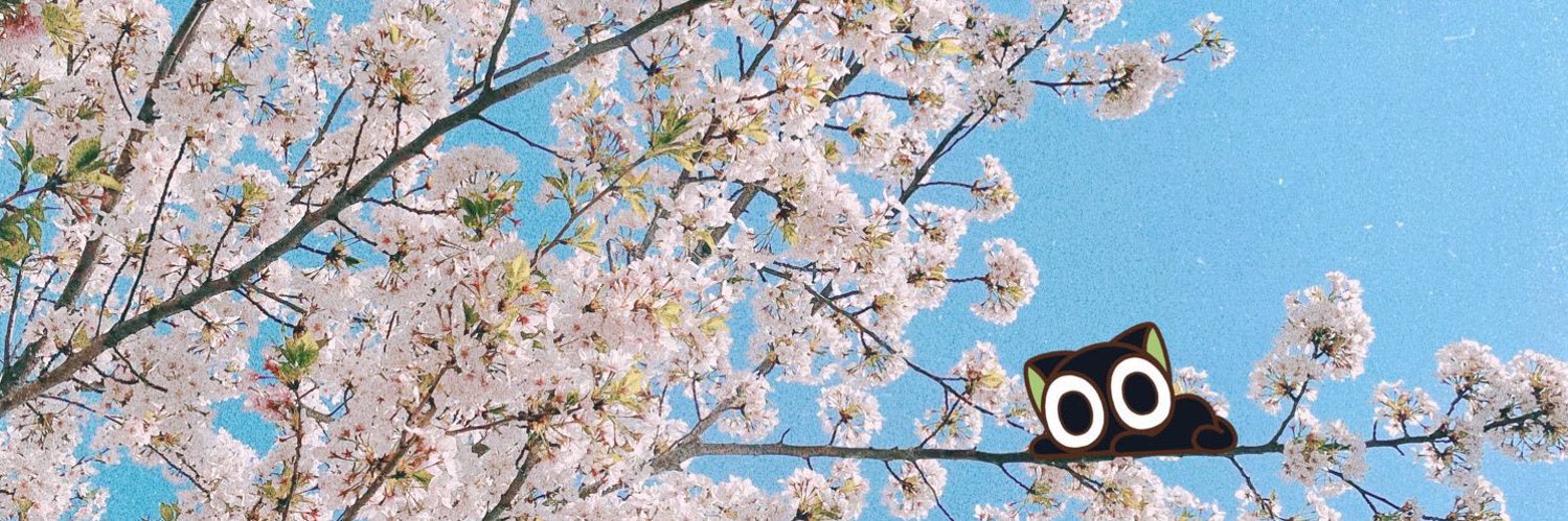xxxaox's profile banner image