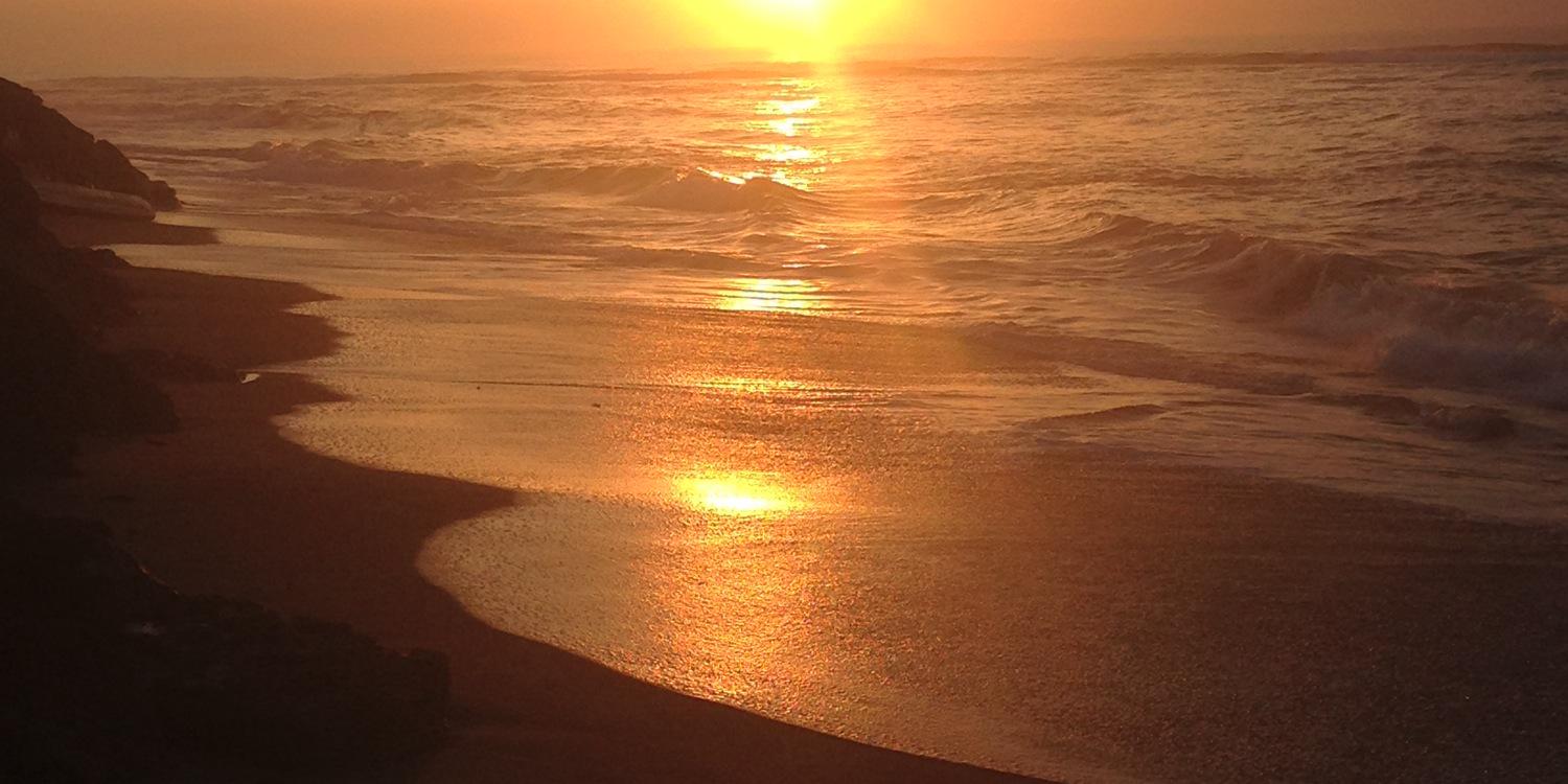 Awilda E Andino banner