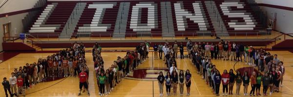 ENNISAVID Profile Banner