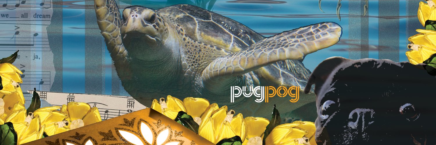 Tracy Williamson banner