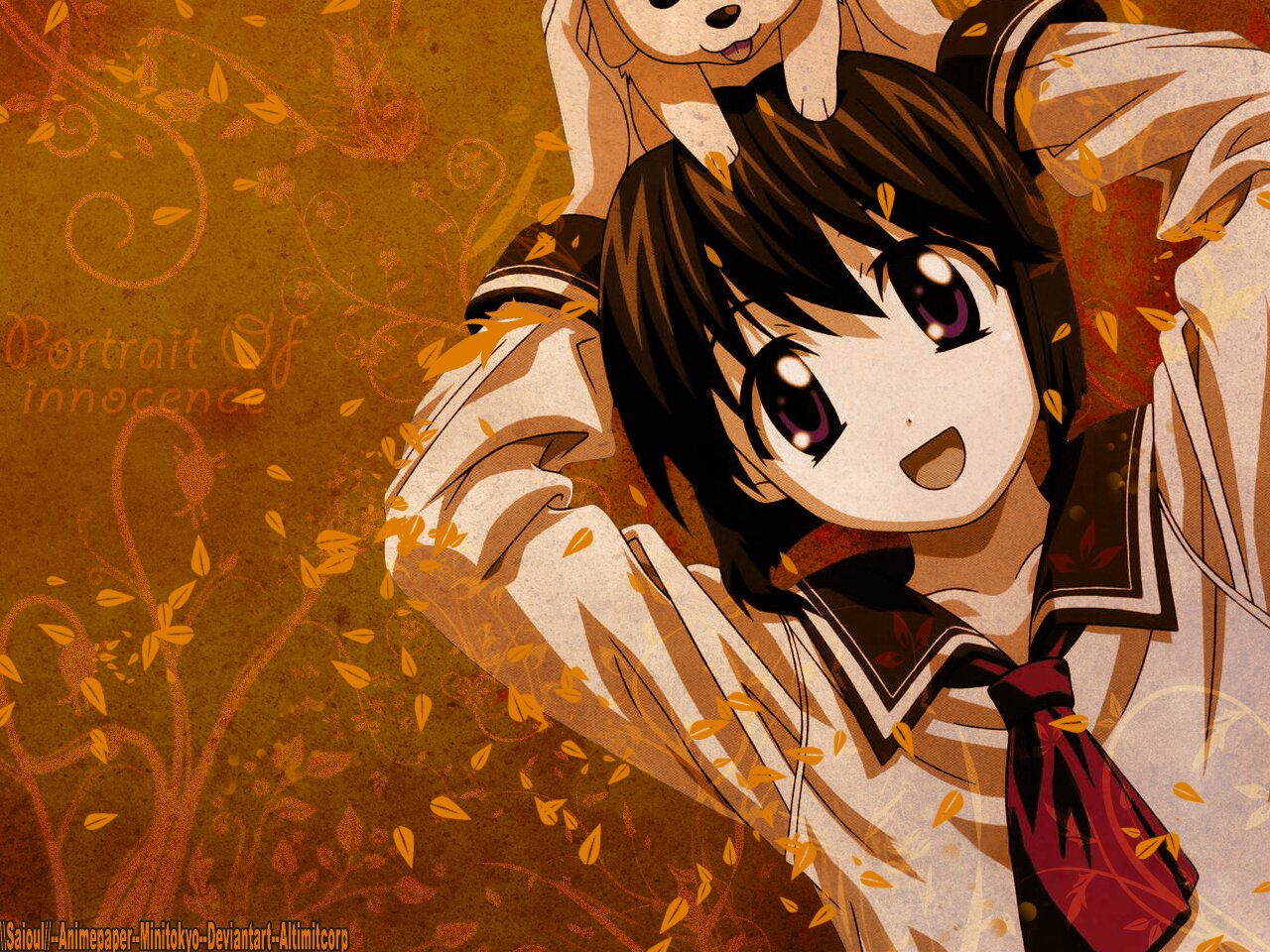 torusin's profile banner image