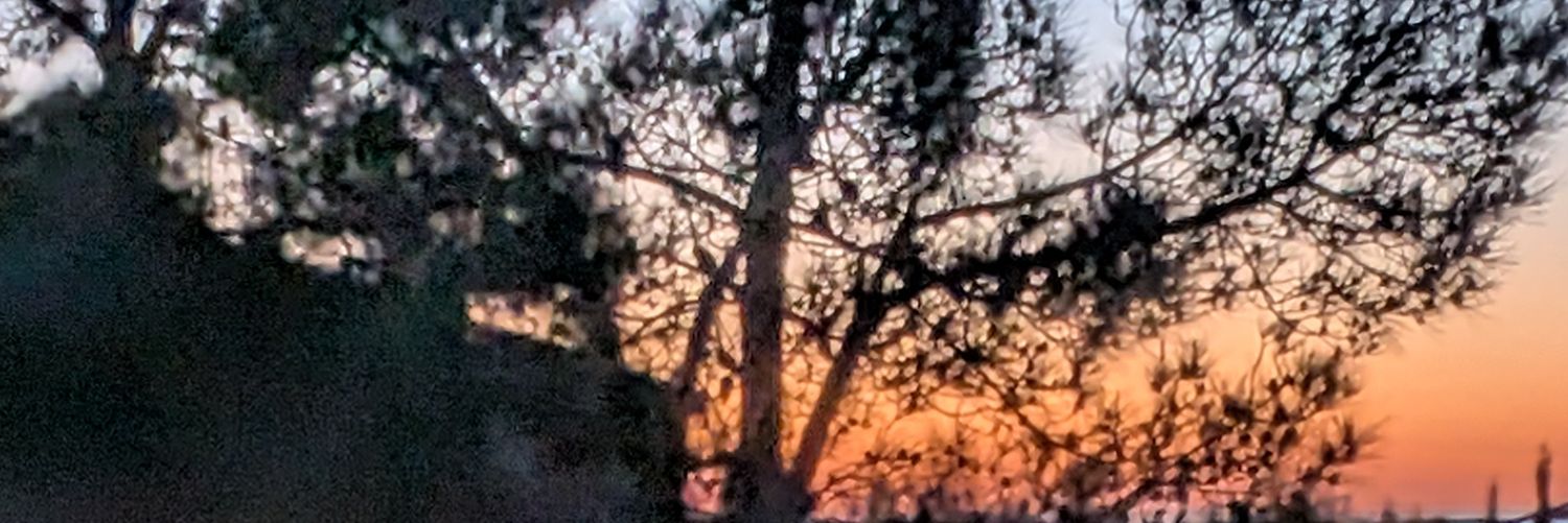 Aaron Korn banner
