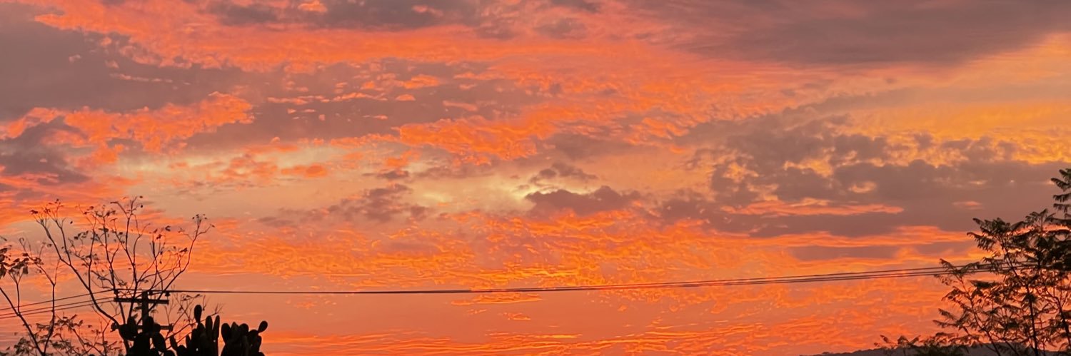 leslymmtz's profile banner image