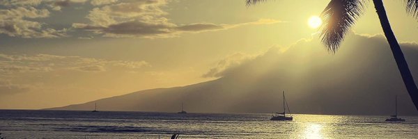 KendraSpring Profile Banner