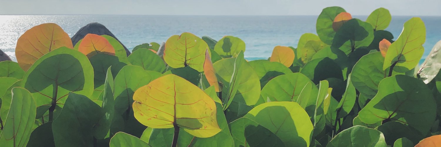 Саша Попова 🕊 banner