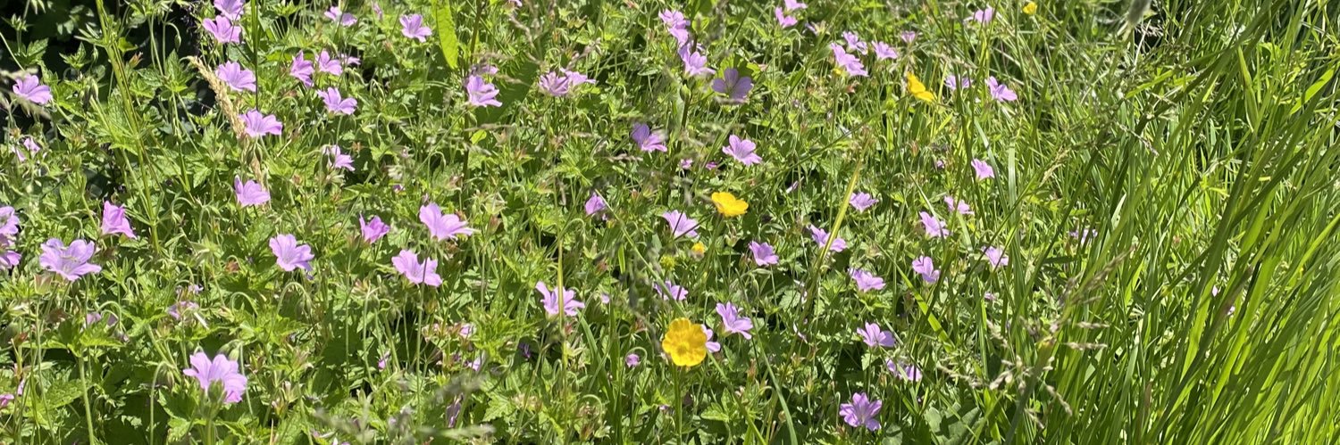 Graham Westwell banner
