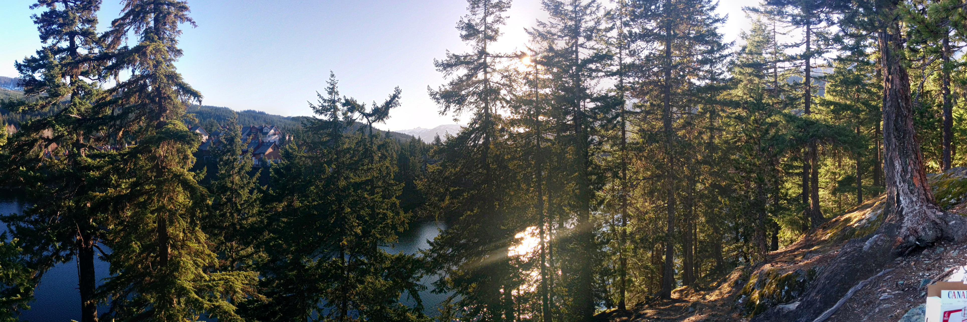 pgildersleve's profile banner image