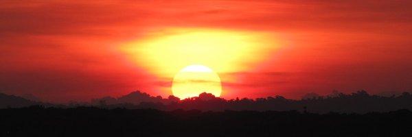 cpeartree Profile Banner