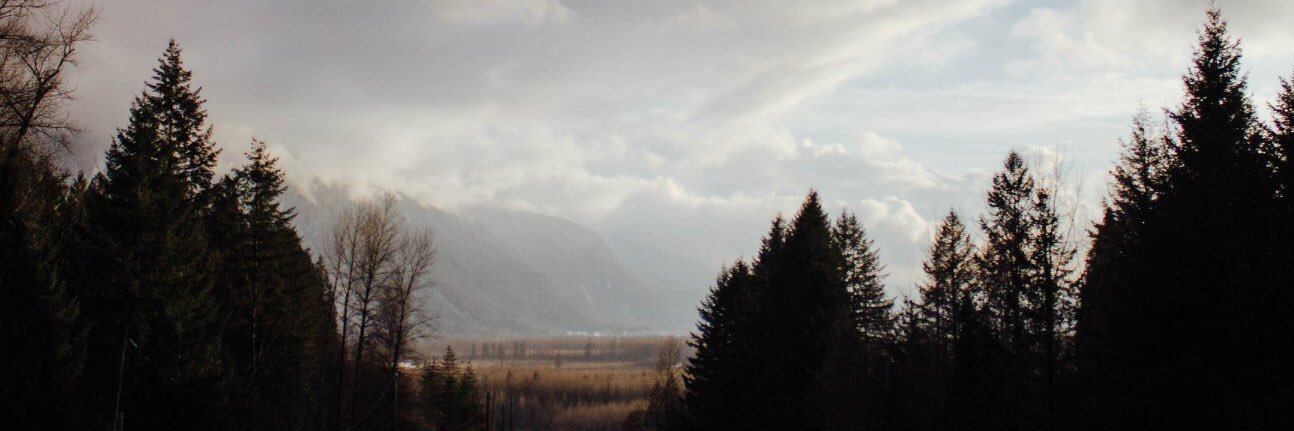 chelseyschwan's profile banner image