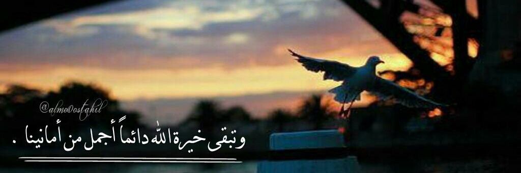 751Nawaf's profile banner image