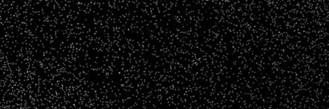 emstrad's profile banner image