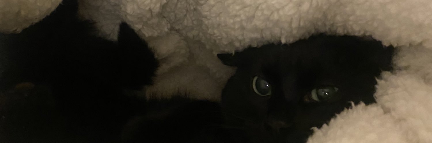 3lena_M's profile banner image